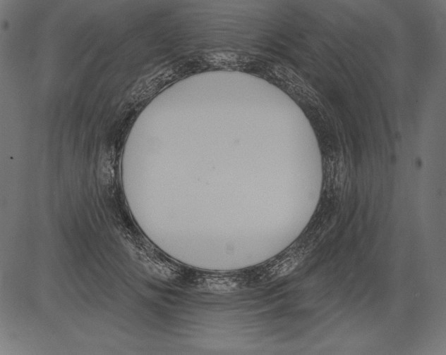 X0000081380702200702020230