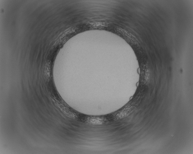 X0000081380710200702020230