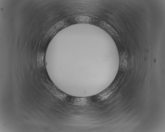 X0000081380717200702020230