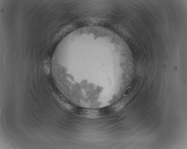 X0000081380719200702020230