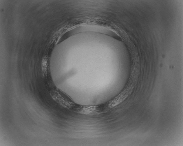 X0000081380720200702020230