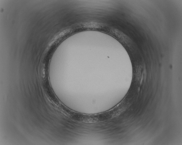 X0000081380731200702020229