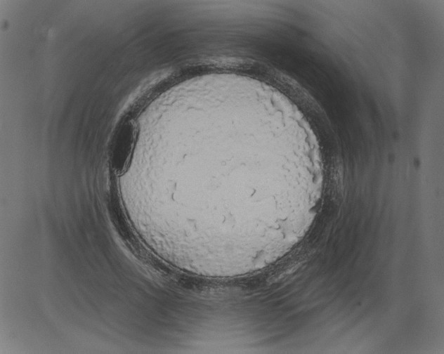 X0000081380734200702020229