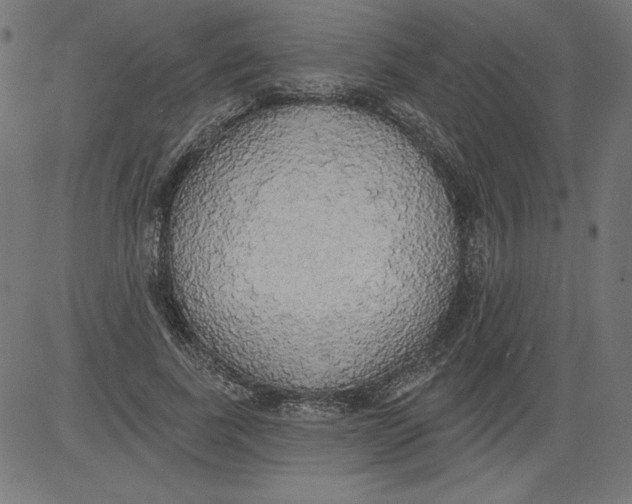 X0000081380739200702020230