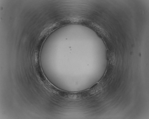 X0000081380740200702020230