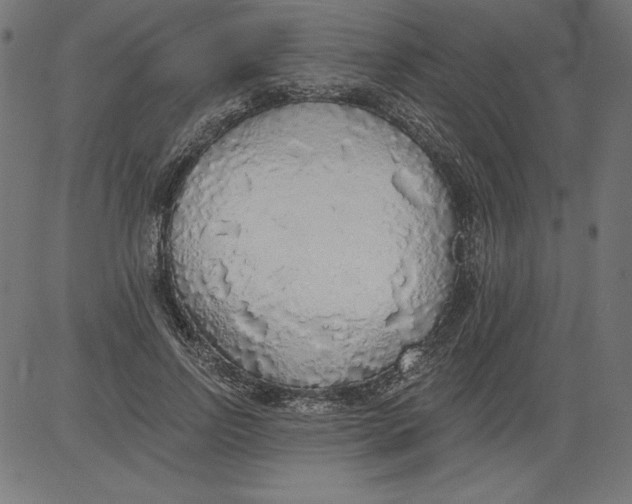X0000081380742200702020230