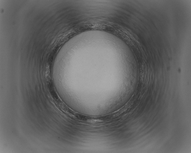 X0000081380748200702020230