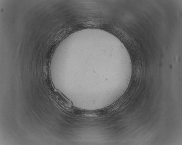 X0000081380749200702020230