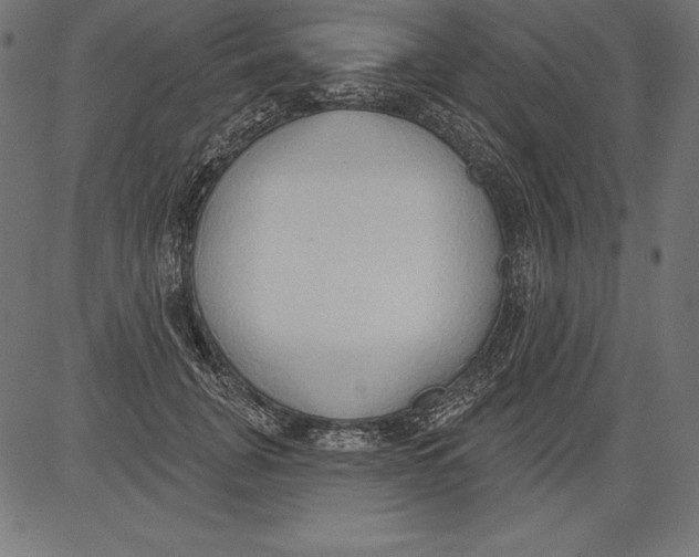 X0000081380751200702020230