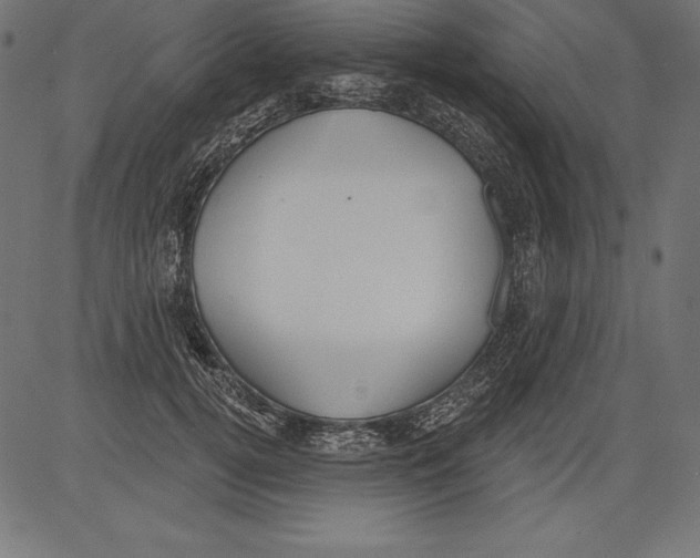 X0000081380752200702020230