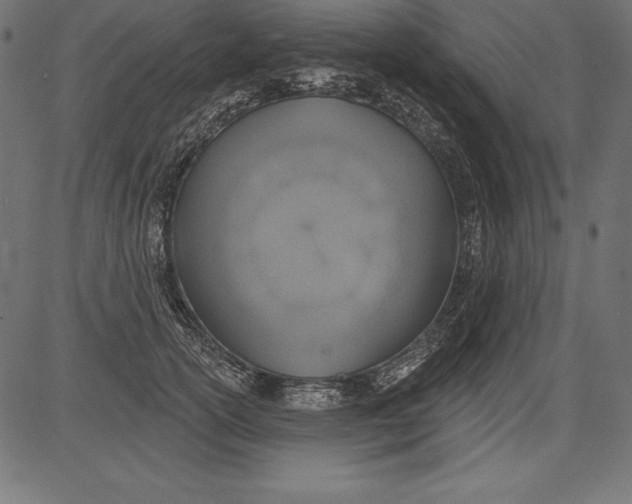X0000081380754200702020230