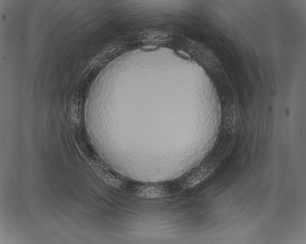 X0000081380755200702020230