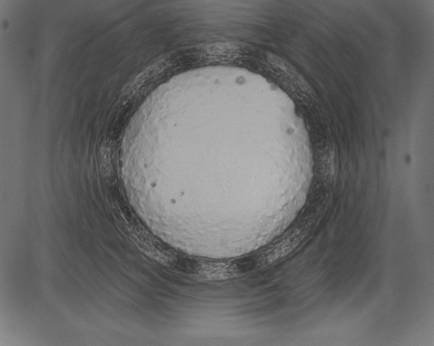 X0000081380757200702020230