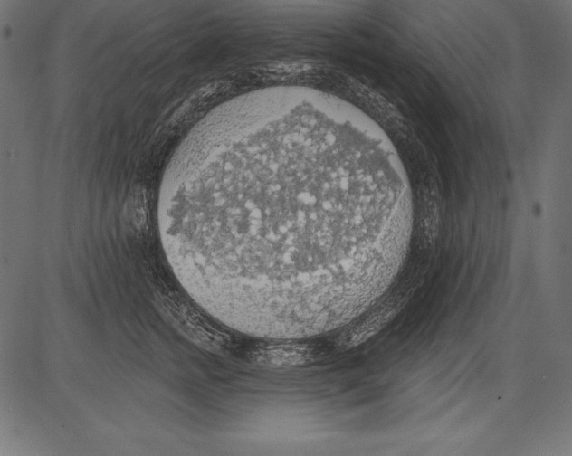 X0000081380758200702020230