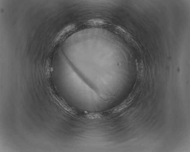 X0000081380762200702020230