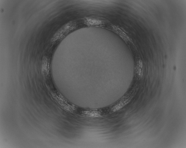 X0000081380763200702020230