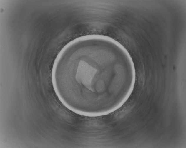 X0000081380769200702020229