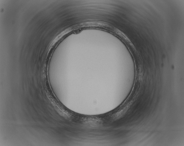 X0000081380786200702020229