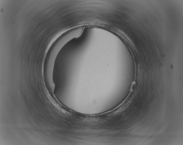 X0000081380788200702020229