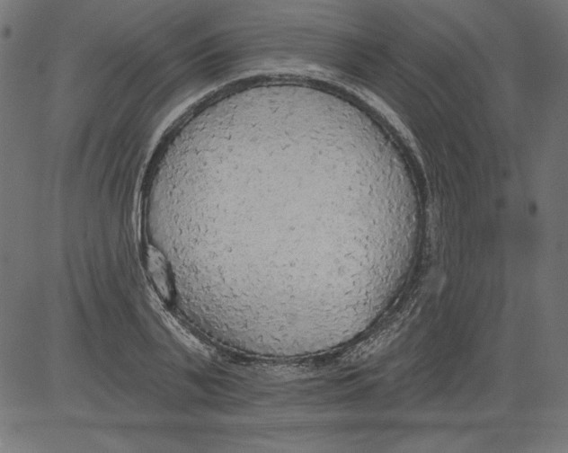 X0000081380791200702020229