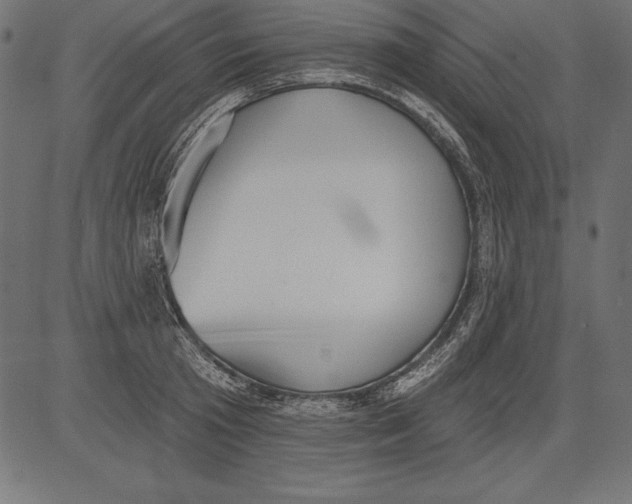X0000081380801200702020229
