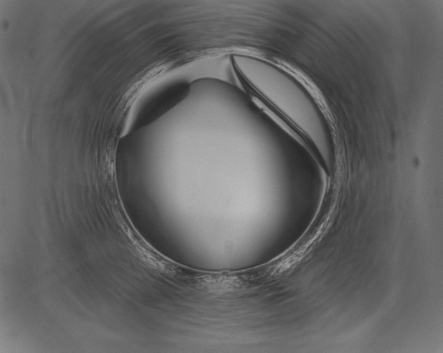 X0000081380809200702020229