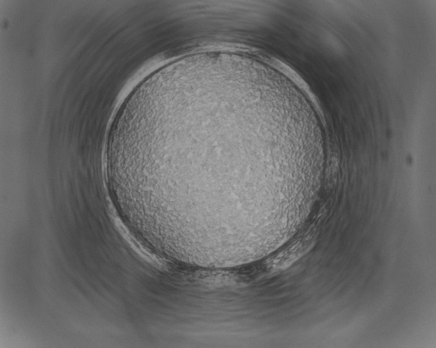 X0000081380811200702020229