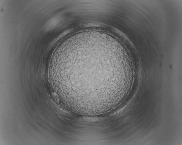 X0000081380825200702020228