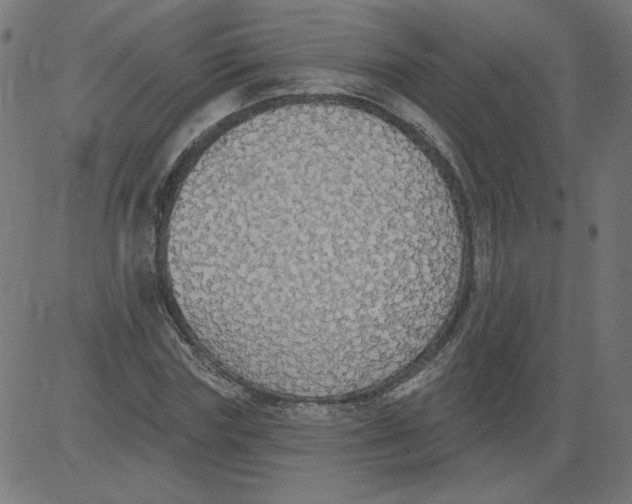 X0000081380827200702020228