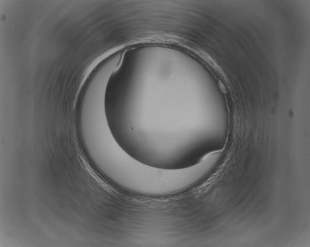 X0000081380838200702020228