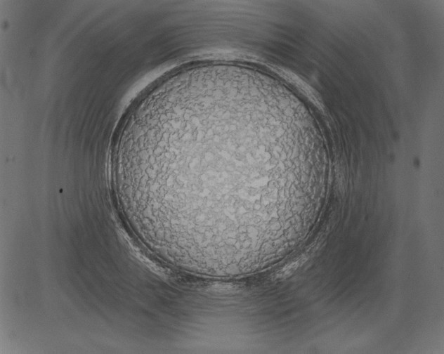 X0000081380839200702020228