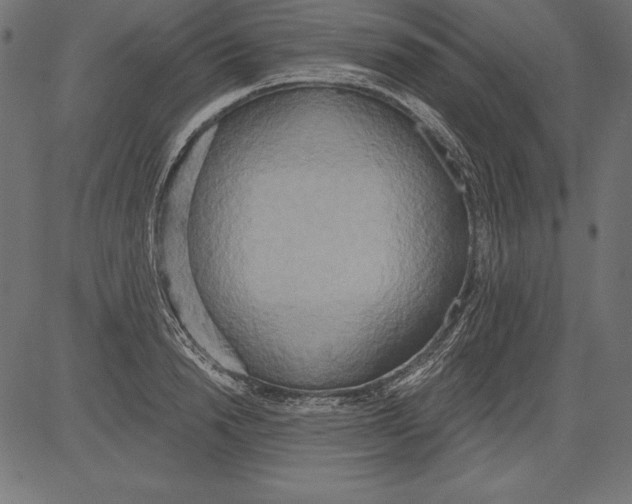 X0000081380846200702020228