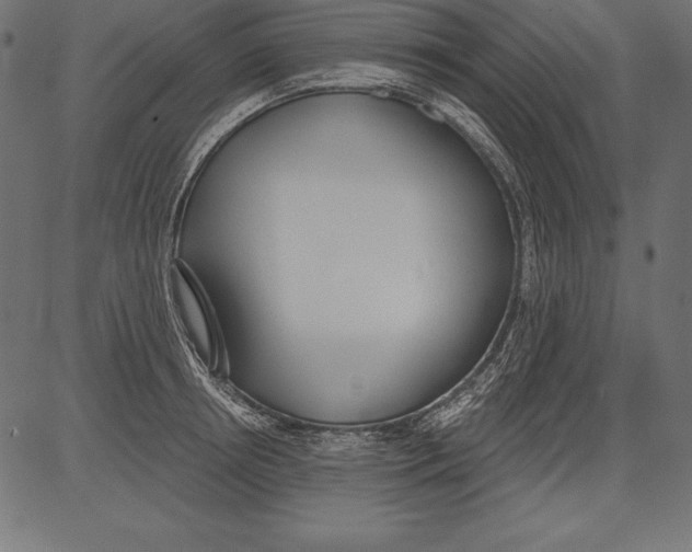 X0000081380850200702020228