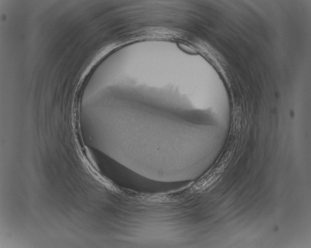 X0000081380851200702020228