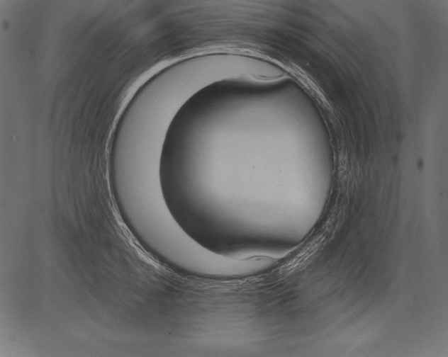 X0000081380854200702020228