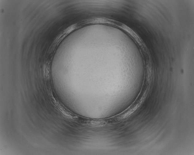 X0000081380857200702020228