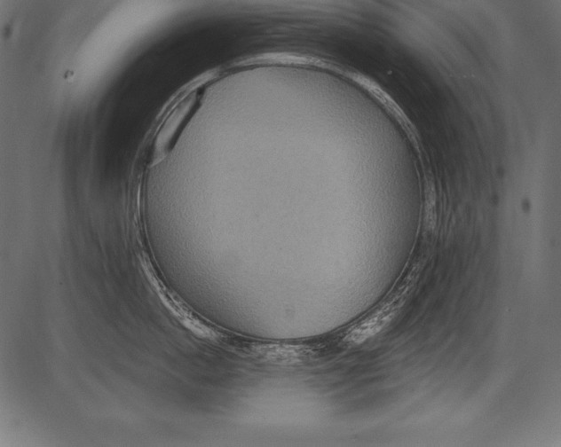 X0000081380862200702020228