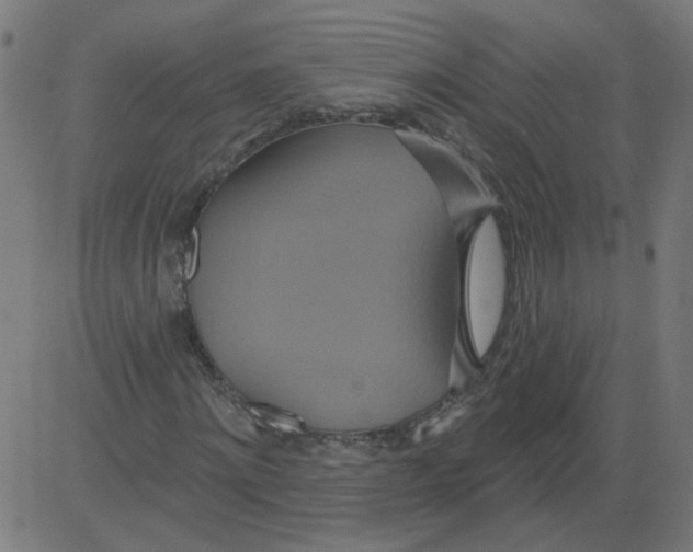 X0000081380868200702020228