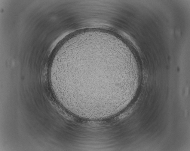X0000081380875200702020227