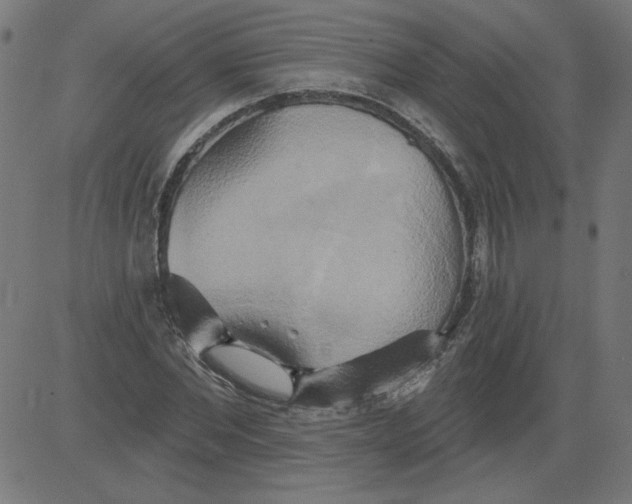 X0000081380877200702020227
