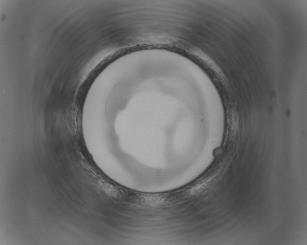 X0000081380878200702020227
