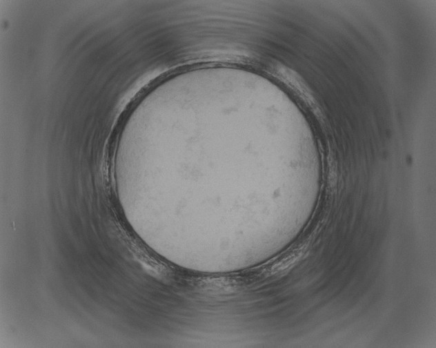 X0000081380883200702020227