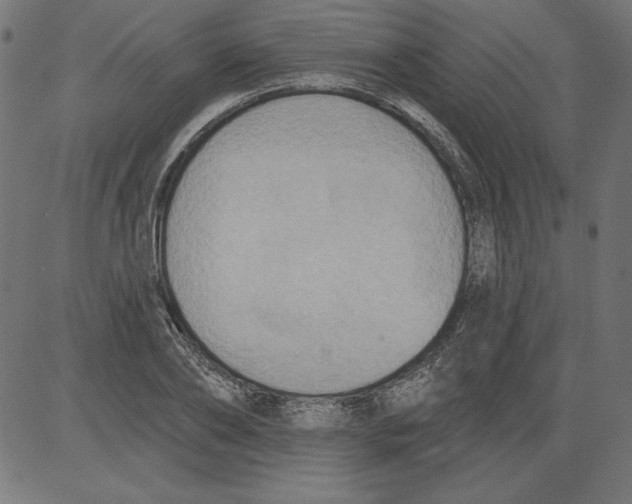 X0000081380886200702020227