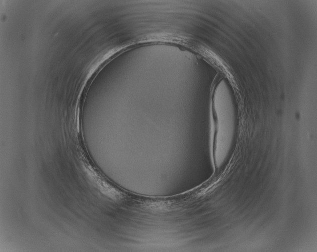 X0000081380892200702020227