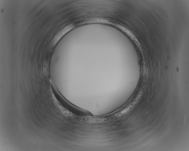 X0000081380905200702020227