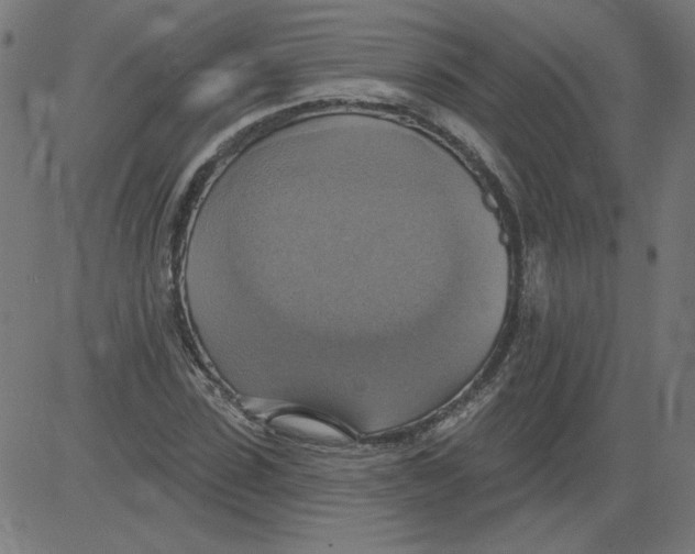 X0000081380923200702020226