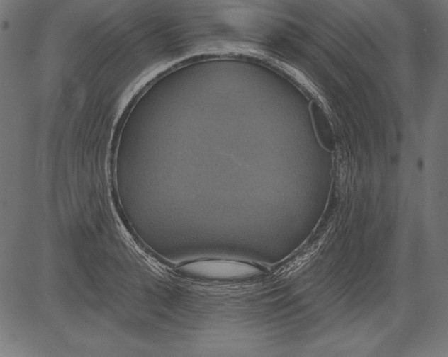 X0000081380943200702020227