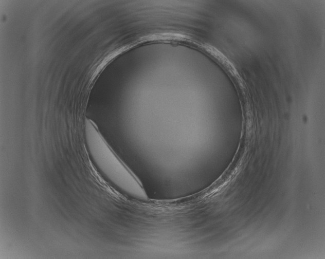 X0000081380945200702020227