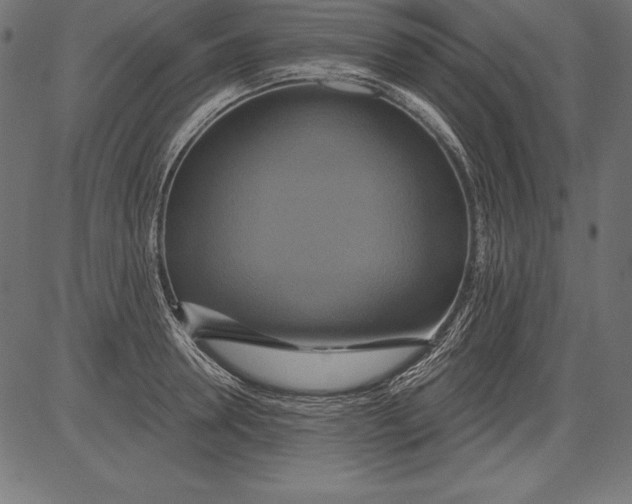 X0000081380946200702020227