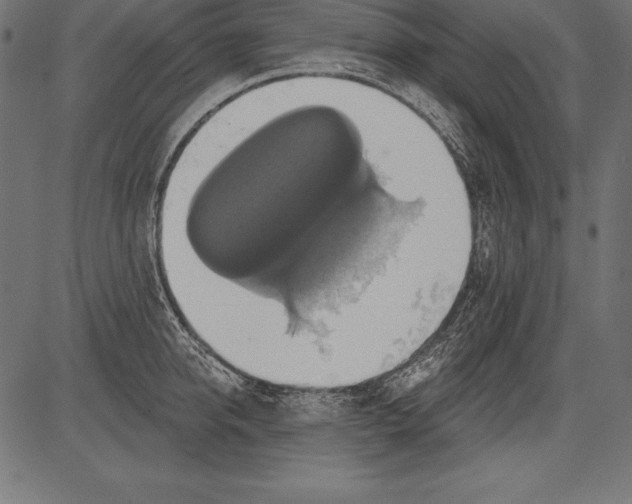 X0000081380950200702020227